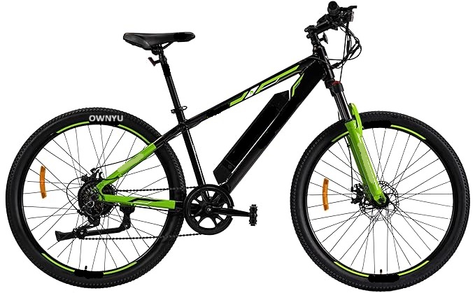 electric bicycle ebike