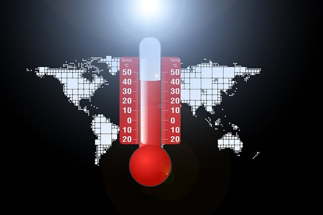 Causes and Effects of Global Warming